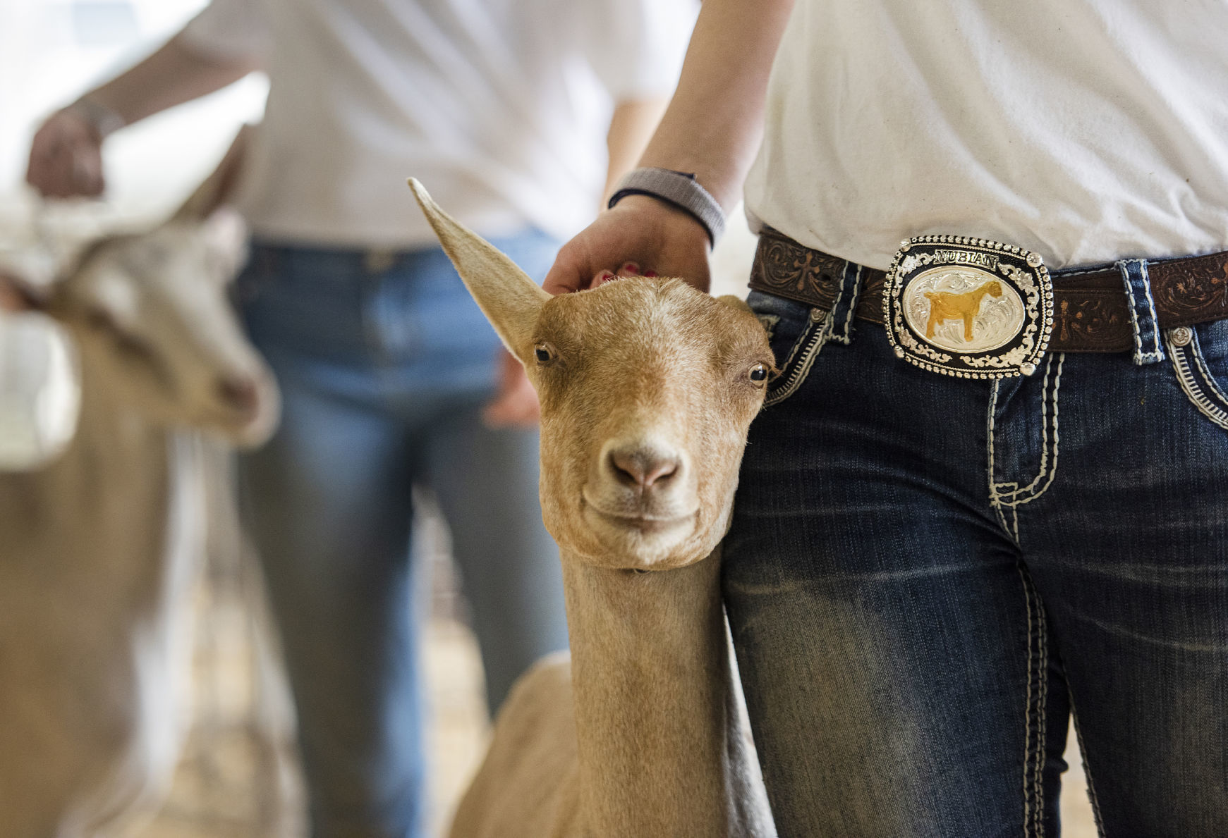 190526_GOAT07